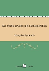 Kęs chleba: gawęda z pól nadniemeńskich - Władysław Syrokomla - ebook