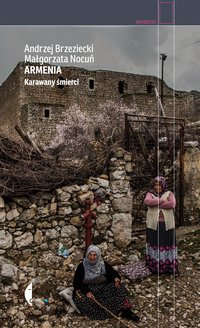 Armenia - Andrzej Brzeziecki - ebook