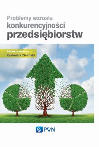 Problemy wzrostu konkurencyjności przedsiębiorstw - Kazimierz Zieliński - ebook