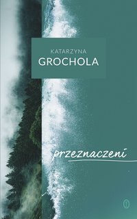 Przeznaczeni - Katarzyna Grochola - ebook