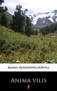 Anima vilis - Maria Rodziewiczówna - ebook