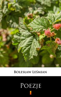 Poezje - Bolesław Leśmian - ebook