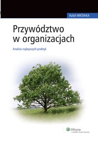 Przywództwo w organizacjach. Analiza najlepszych praktyk - Rafał Mrówka - ebook