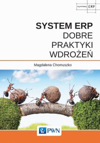 System ERP - Dobre praktyki wdrożeń - Magdalena Chomuszko - ebook