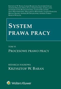 System prawa pracy. TOM VI. Procesowe prawo pracy - Agnieszka Góra-Błaszczykowska - ebook