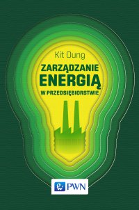 Zarządzanie energią w przedsiębiorstwie - Kit Oung - ebook