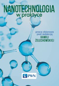 Nanotechnologia w praktyce - Kamila Żelechowska - ebook