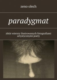 Paradygmat - Zeno Olech - ebook