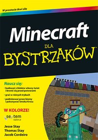 Minecraft dla bystrzaków - Jesse Stay - ebook