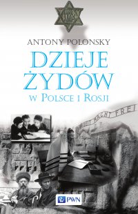 Dzieje Żydów w Polsce i Rosji - Antony Polonsky - ebook