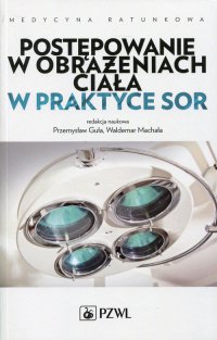 Postępowanie w obrażeniach ciała w praktyce SOR - Leszek Brongel - ebook