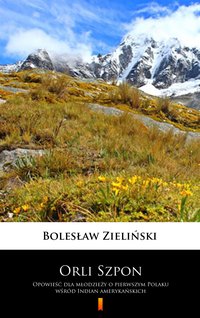 Orli Szpon - Bolesław Zieliński - ebook