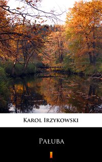 Pałuba - Karol Irzykowski - ebook
