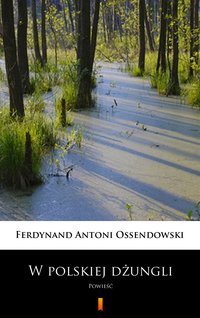 W polskiej dżungli - Antoni Ferdynand Ossendowski - ebook