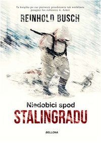 Niedobici spod Stalingradu - Reinhold Busch - ebook