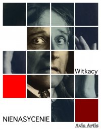 Nienasycenie - Stanisław Ignacy Witkiewicz - ebook