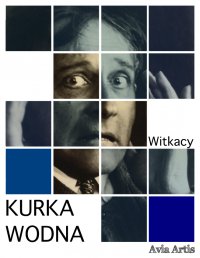 Kurka Wodna - Stanisław Ignacy Witkiewicz - ebook