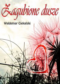 Zagubione dusze - Waldemar Ciekalski - ebook