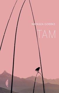 Tam - Natasza Goerke - ebook