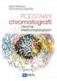 Podstawy chromatografii i technik elektromigracyjnych - Zygfryd Witkiewicz - ebook