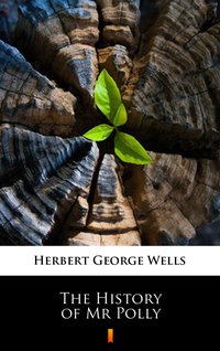 The History of Mr Polly - Herbert George Wells - ebook