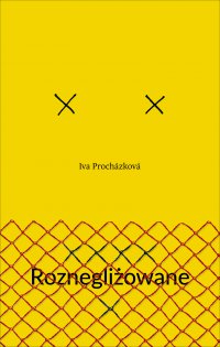 Roznegliżowane - Iva Prochazkova - ebook