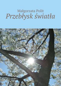 Przebłysk światła - Małgorzata Polit - ebook
