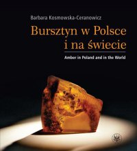 Bursztyn w Polsce i na świecie. Amber in Poland and in the World - Barbara Kosmowska-Ceranowicz - ebook