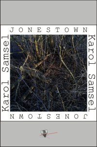 Jonestown - Karol Samsel - ebook