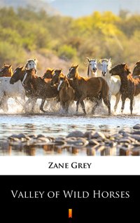 Valley of Wild Horses - Zane Grey - ebook
