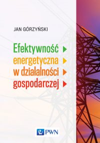 Efektywność energetyczna w działalności gospodarczej - Jan Górzyński - ebook