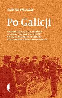 Po Galicji - Martin Pollack - ebook