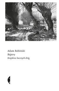 Hajstry - Adam Robiński - ebook