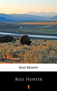 Bull Hunter - Max Brand - ebook
