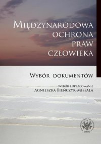Międzynarodowa ochrona praw człowieka - Agnieszka Bieńczyk-Missala - ebook