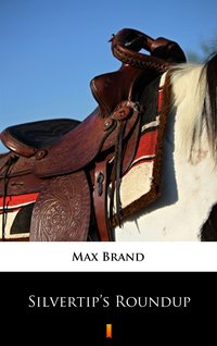 Silvertip’s Roundup - Max Brand - ebook
