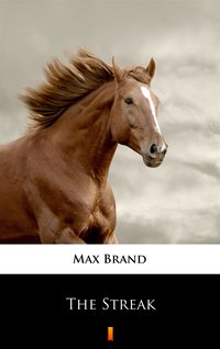 The Streak - Max Brand - ebook