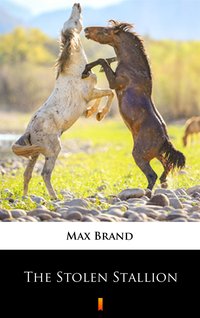 The Stolen Stallion - Max Brand - ebook