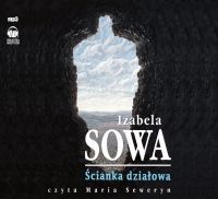 Ścianka działowa - Izabela Sowa - audiobook