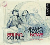 Sklepy cynamonowe - Bruno Schulz - audiobook