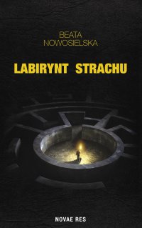 Labirynt strachu - Beata Nowosielska - ebook