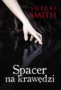 Spacer na krawędzi - Sherri Smith - ebook