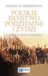 Polskie Państwo Podziemne i Żydzi w czasie II wojny światowej - Joshua D. Zimmerman - ebook