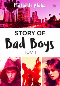 Story of Bad Boys 1 - Mathilde Aloha - ebook