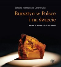Bursztyn w Polsce i na świecie - Barbara Kosmowska-Ceranowicz - ebook