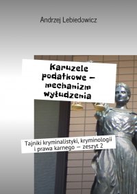 Karuzele podatkowe — mechanizm wyłudzenia - Andrzej lebiedowicz - ebook