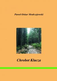 Chrobot klucza - Paweł Modrzejewski - ebook