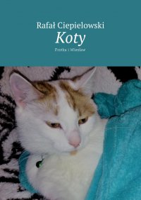 Koty - Rafał Ciepielowski - ebook