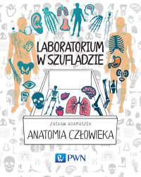 Laboratorium w szufladzie - anatomia człowieka - Zasław Adamaszek - ebook