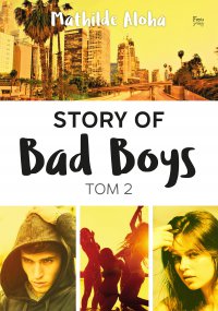 Story of Bad Boys 2 - Mathilde Aloha - ebook